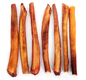 12" Jumbo Bully Sticks- No Odor